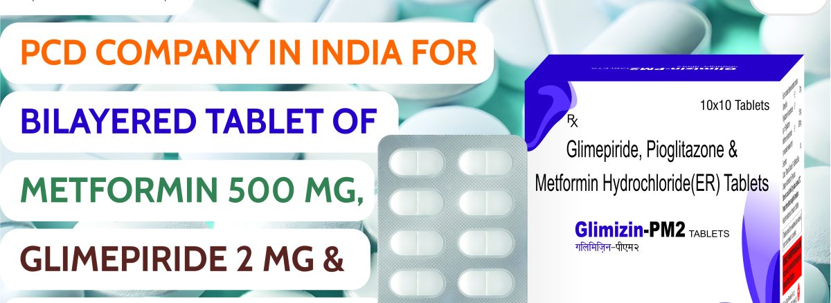 Bilayered Tablet of Metformin