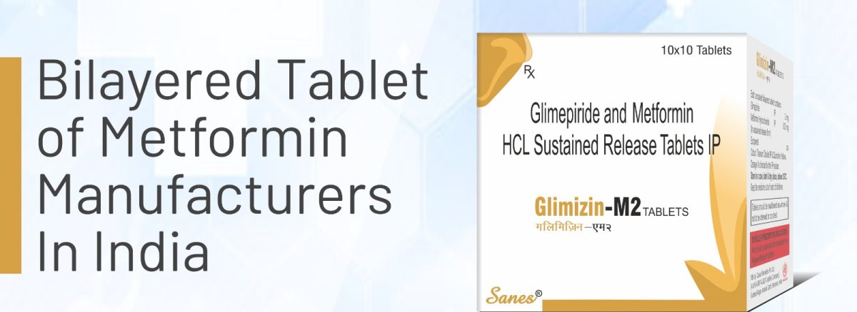 bilayered tablet of metformin manufacturers