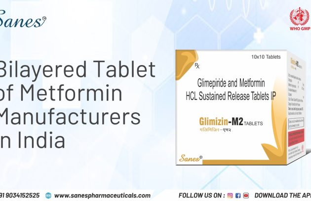 bilayered tablet of metformin manufacturers