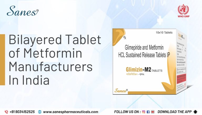 bilayered tablet of metformin manufacturers
