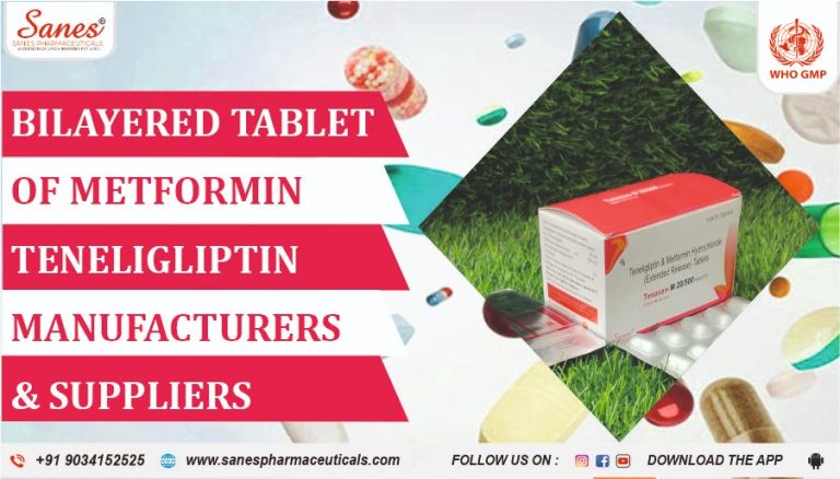 bilayered tablets of Metformin