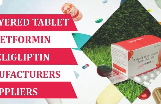 bilayered tablet of Metformin Teneligliptin manufacturer