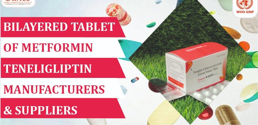 bilayered tablet of Metformin Teneligliptin manufacturer
