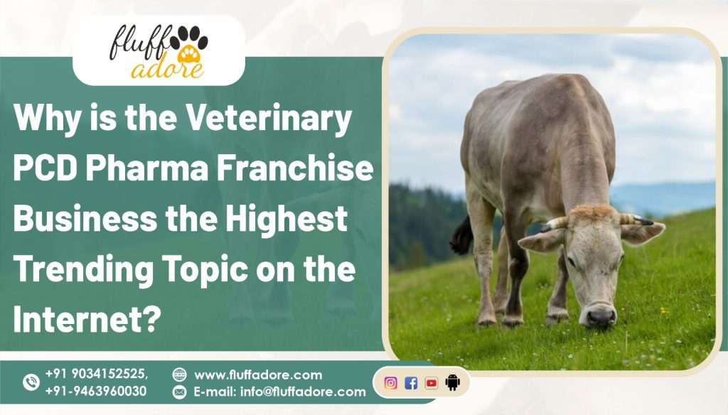 veterinary PCD franchise company in India