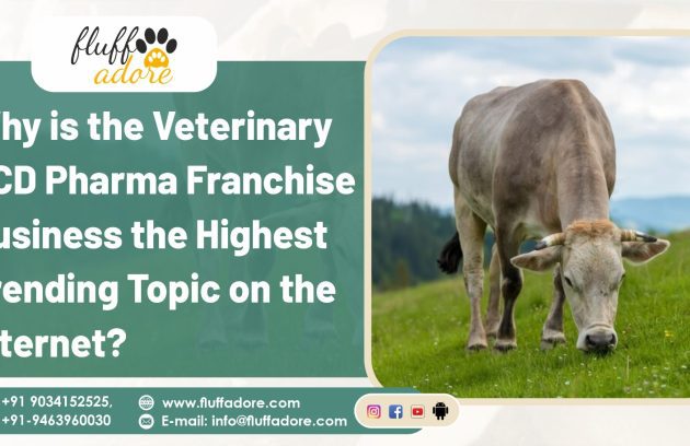 veterinary PCD franchise company in India