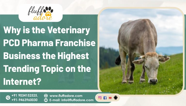 veterinary PCD franchise company in India
