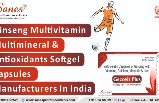 Ginseng Multivitamin Multimineral Antioxidants Softgel Capsules Manufacturers in India