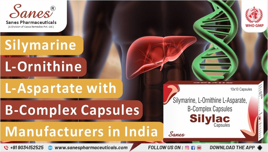 Silymarin L-Ornithine L-Aspartate with B-Complex Capsules Manufacturers