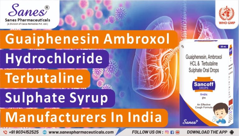 Guaiphenesin Ambroxol Hydrochloride Terbutaline Sulphate Syrup manufacturers